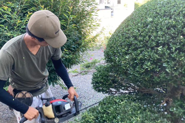 生垣を刈り込む職人