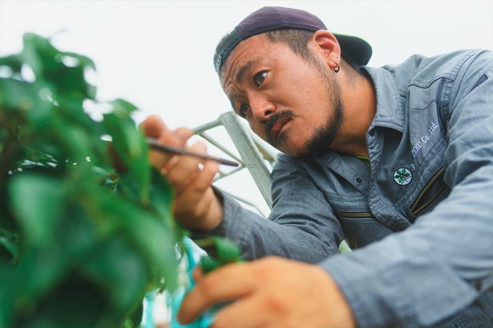 植木の手入れをする職人